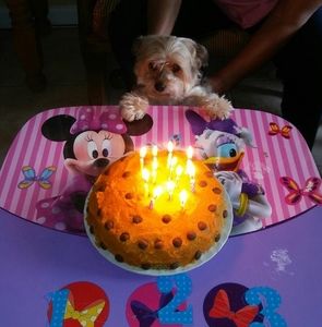 Meet your Posher, Cristina